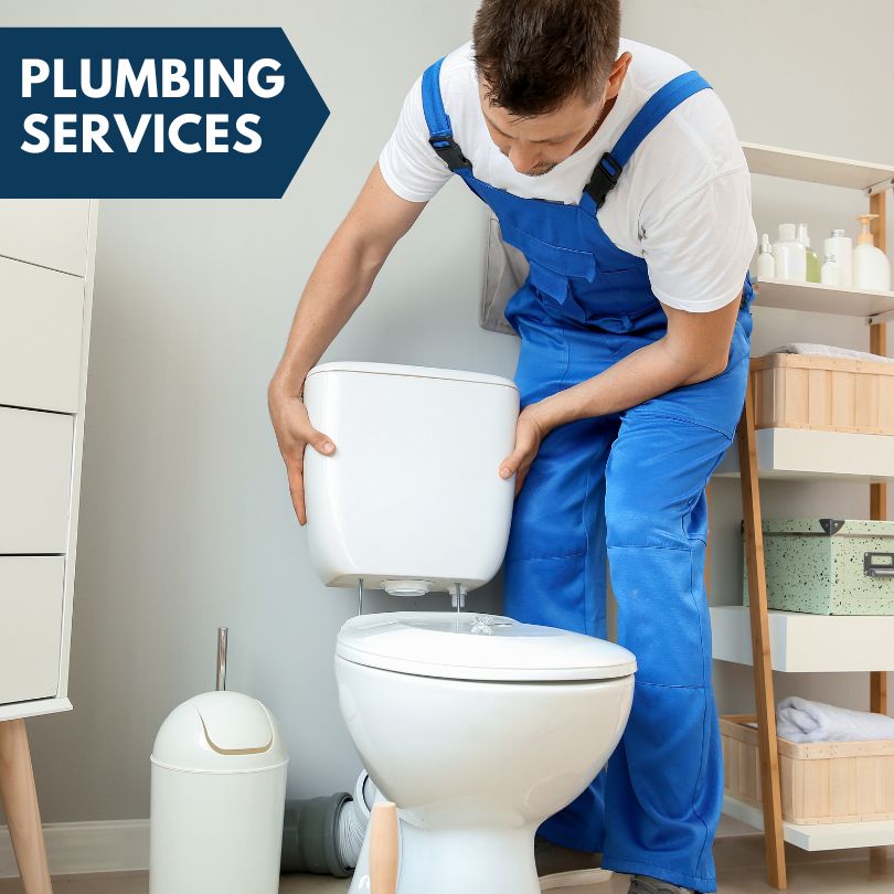 Plumbing Company in Benzonia, MI